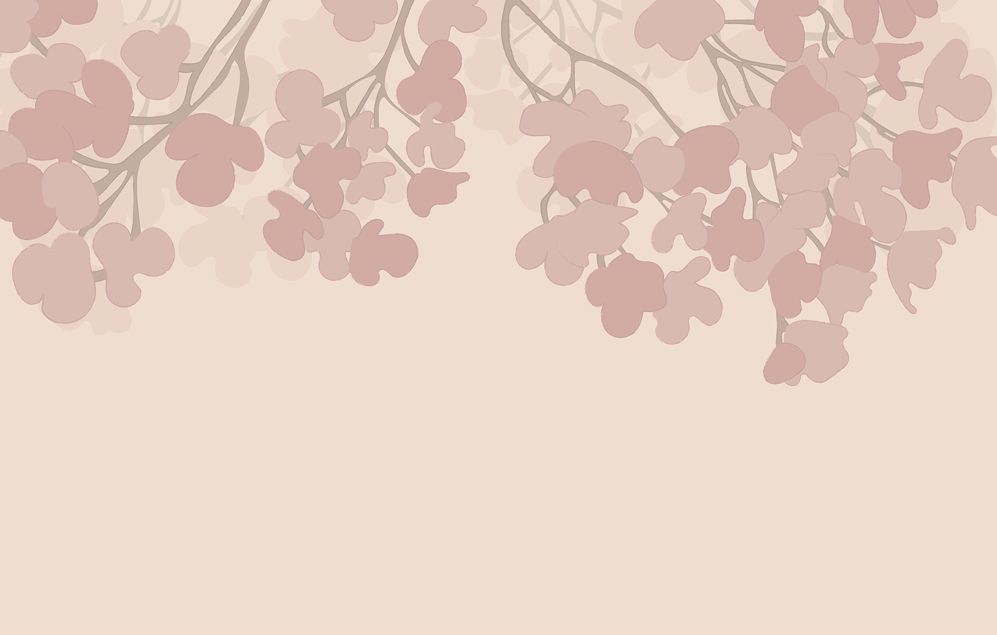 Pink flowers on a white background