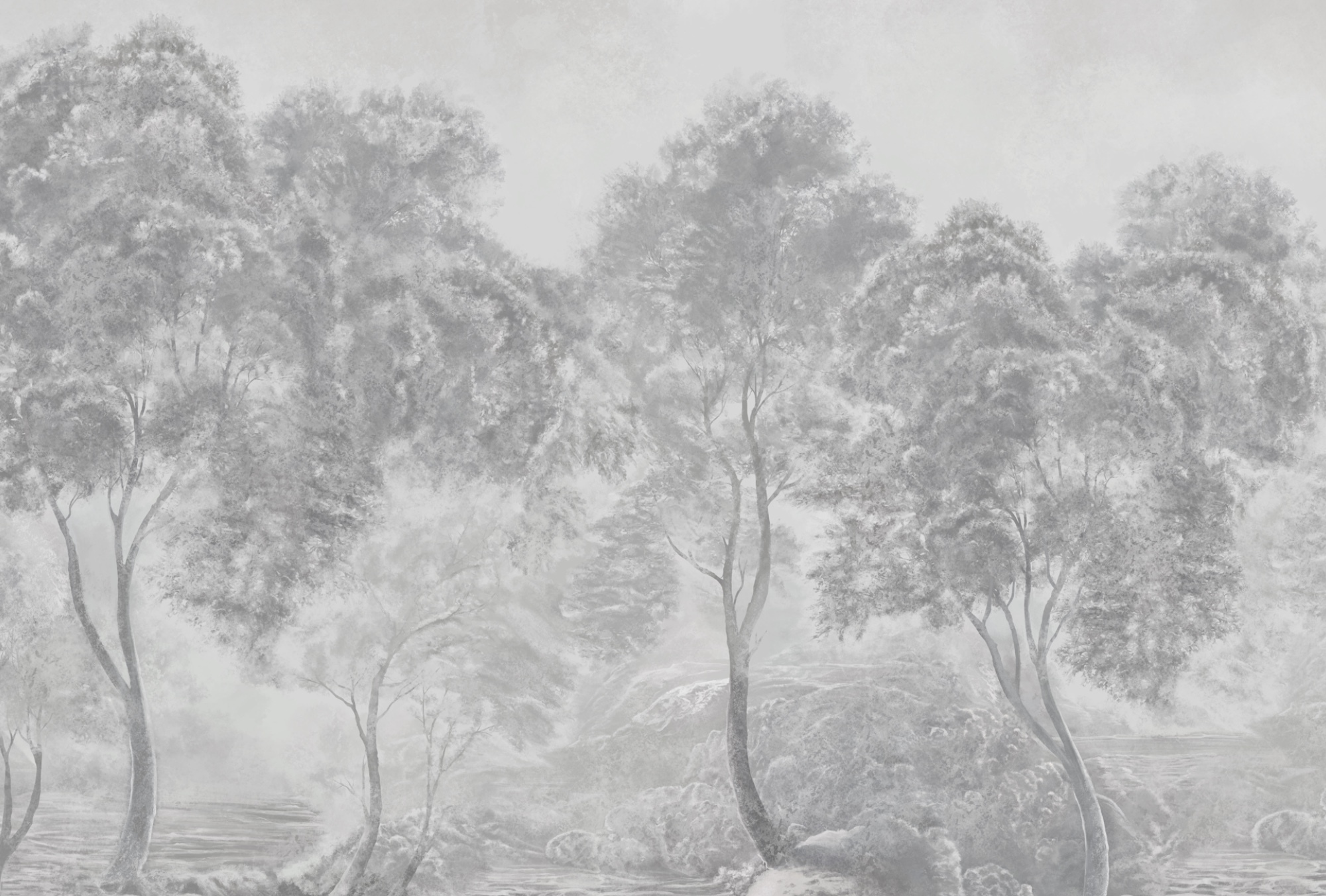 Group of trees in a foggy landscape Group of trees in a foggy landscape