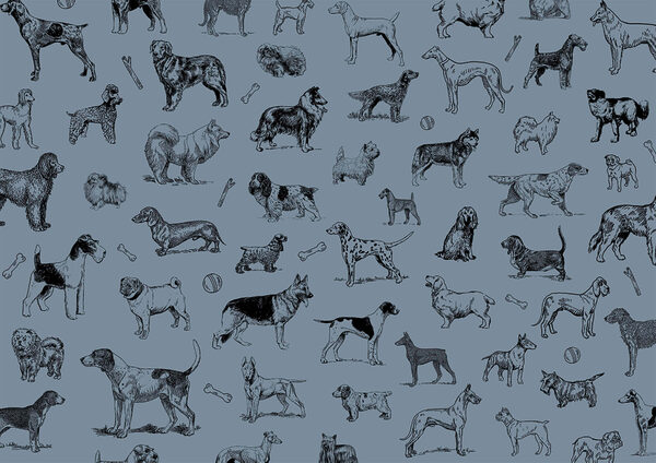 Group of dogs on a blue background