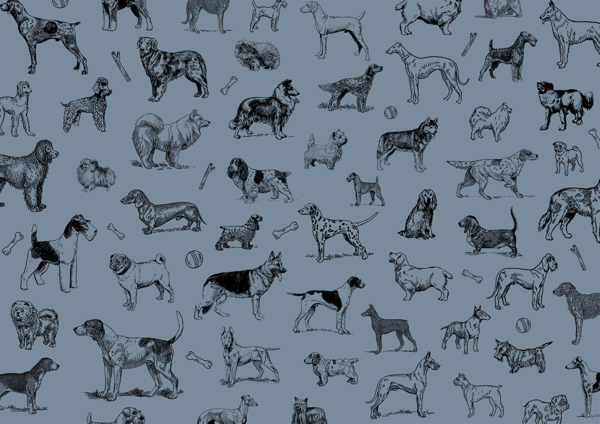 Group of dogs on a blue background