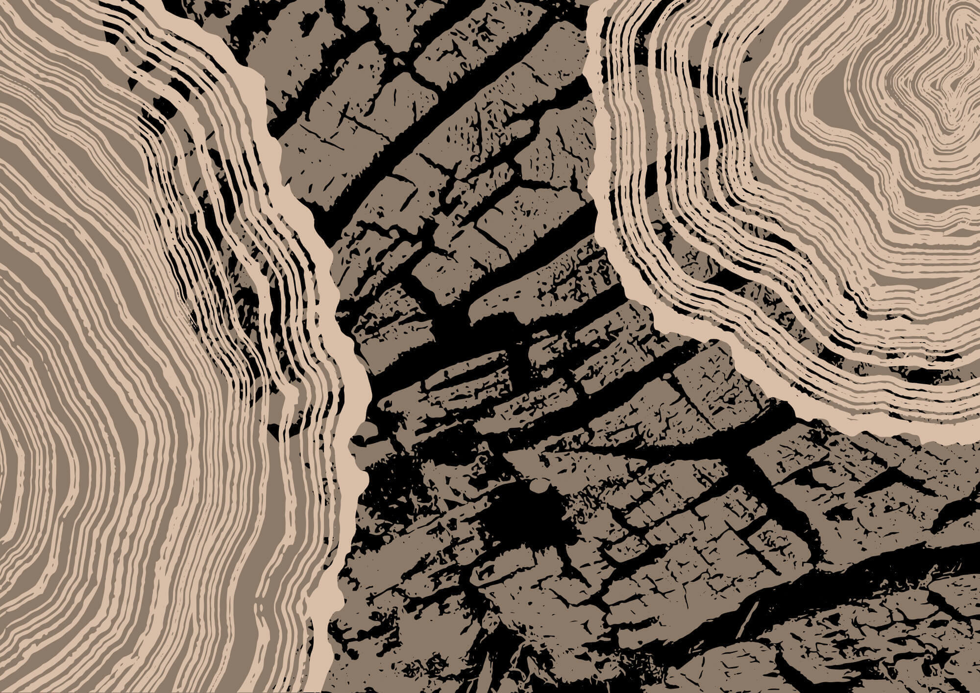 Striking patterns of nature's beauty Striking patterns of nature's beauty