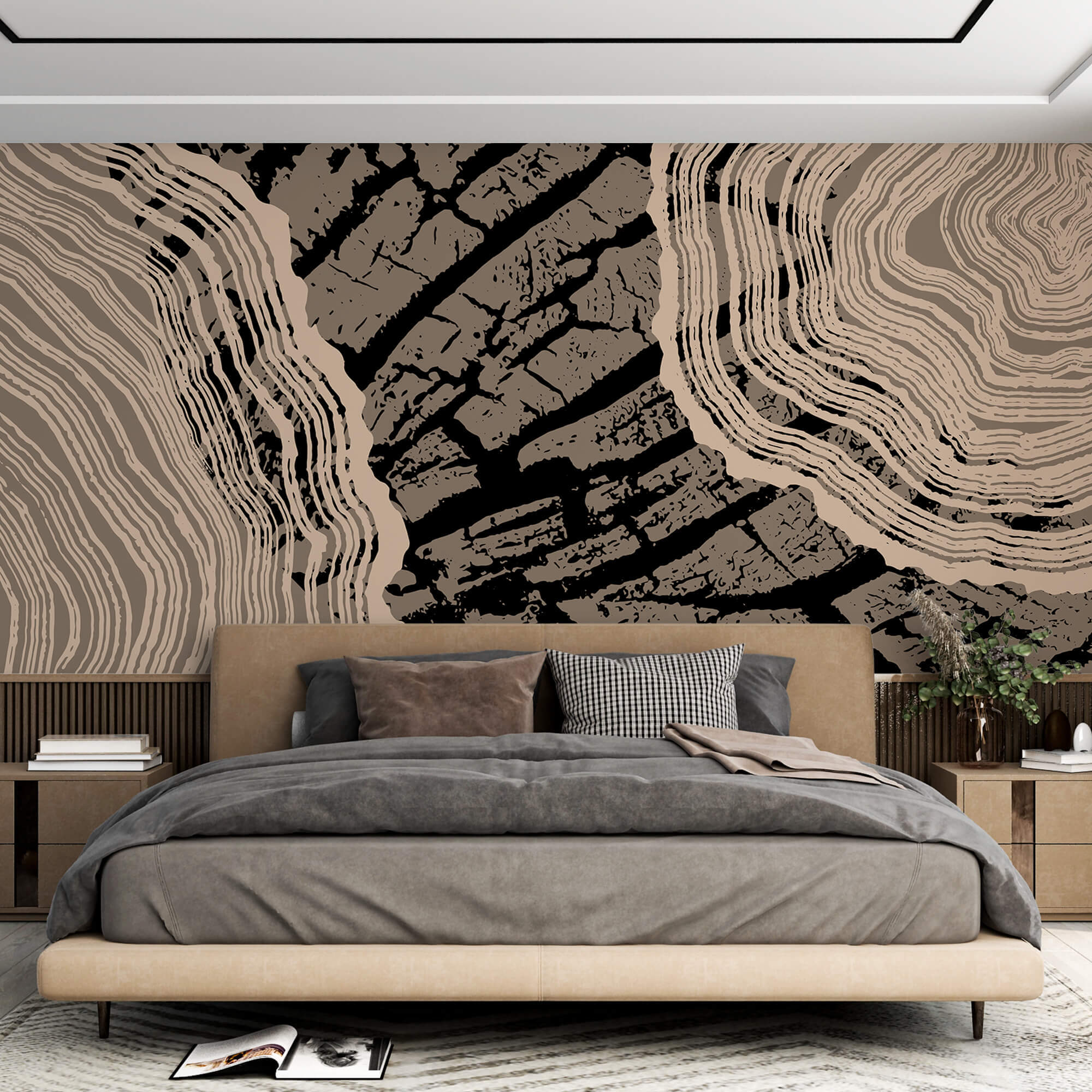 Striking patterns of nature’s beauty Striking patterns of nature’s beauty