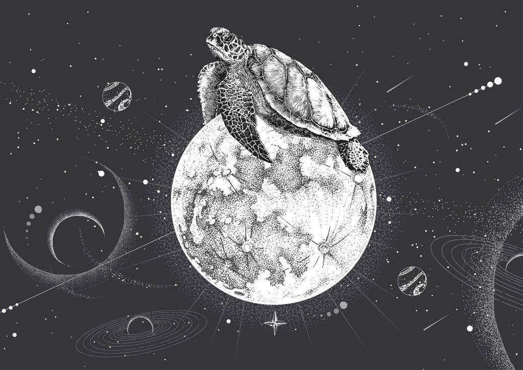 Turtle on the moon Turtle on the moon
