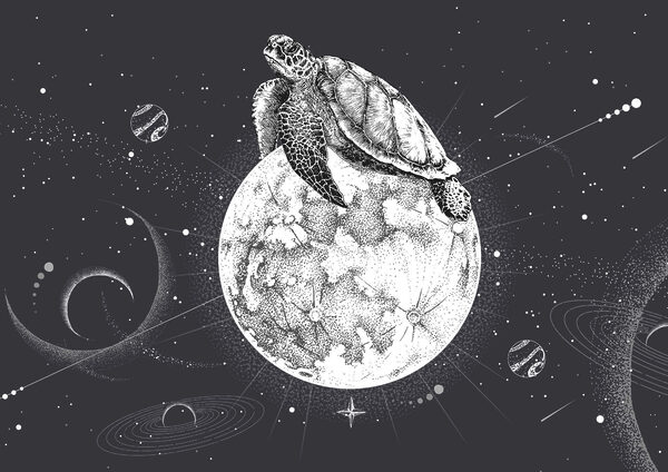Turtle on the moon Turtle on the moon