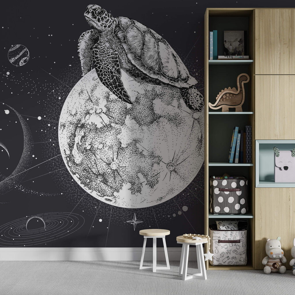 Turtle on the moon Turtle on the moon