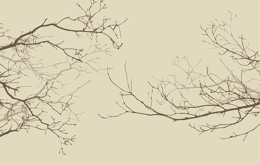 Wall murals Group of bare branches Wall murals Group of bare branches