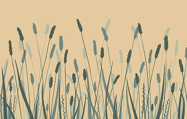 Gentle waves of green swaying gracefully