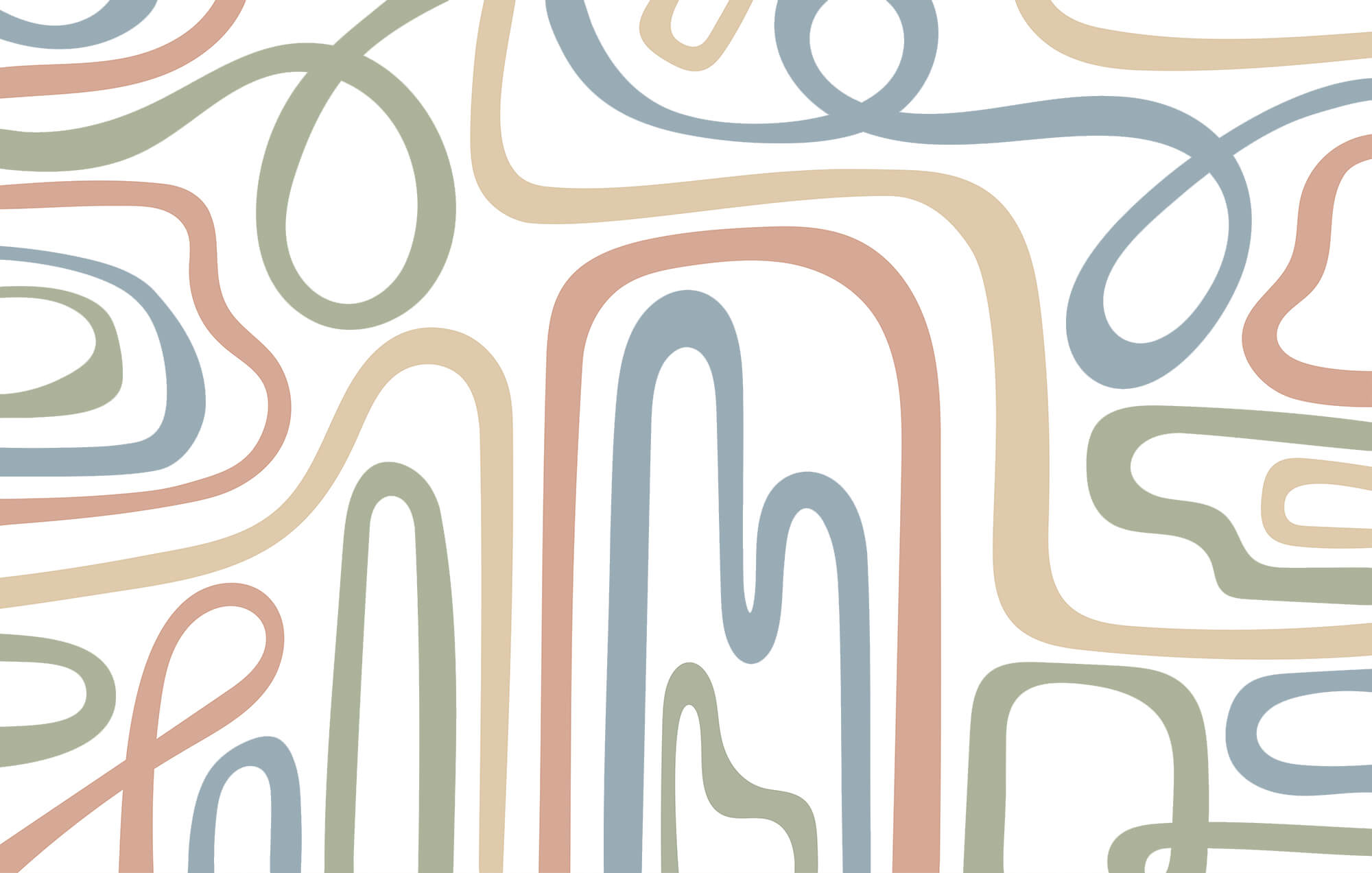 Colorful lines on a white background Colorful lines on a white background