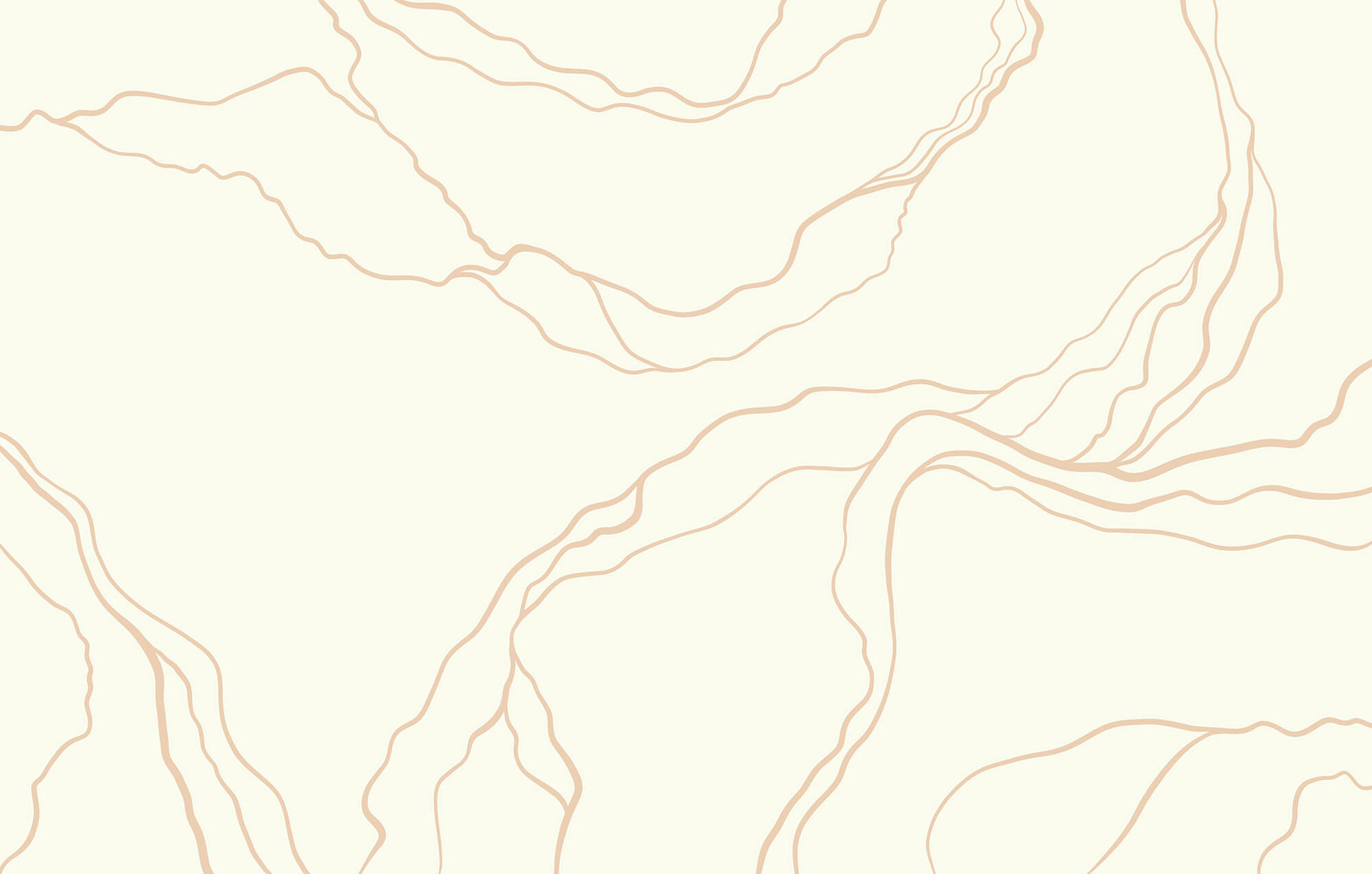 White and orange lines White and orange lines