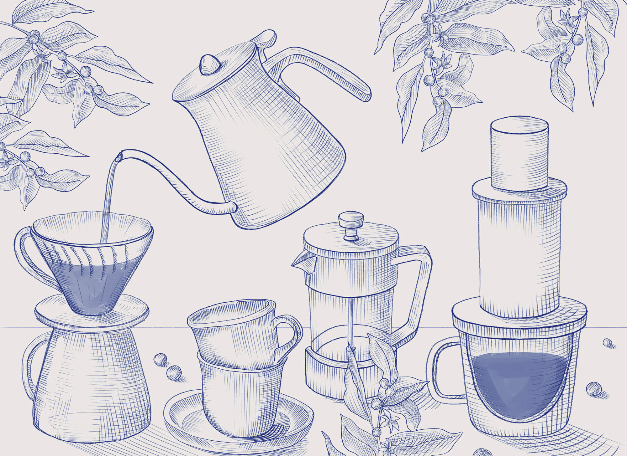 Drawing of coffee brewing process Drawing of coffee brewing process