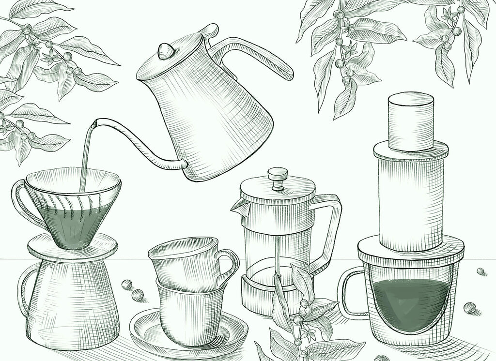 Drawing of coffee brewing Drawing of coffee brewing