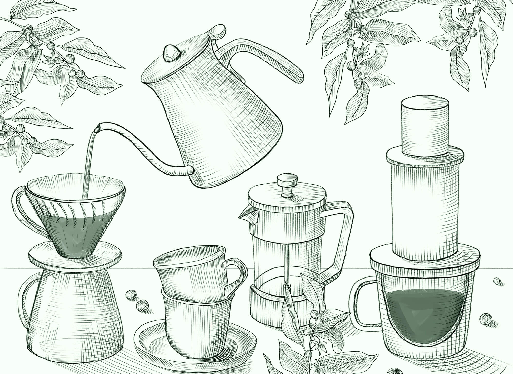 Drawing of coffee brewing Drawing of coffee brewing