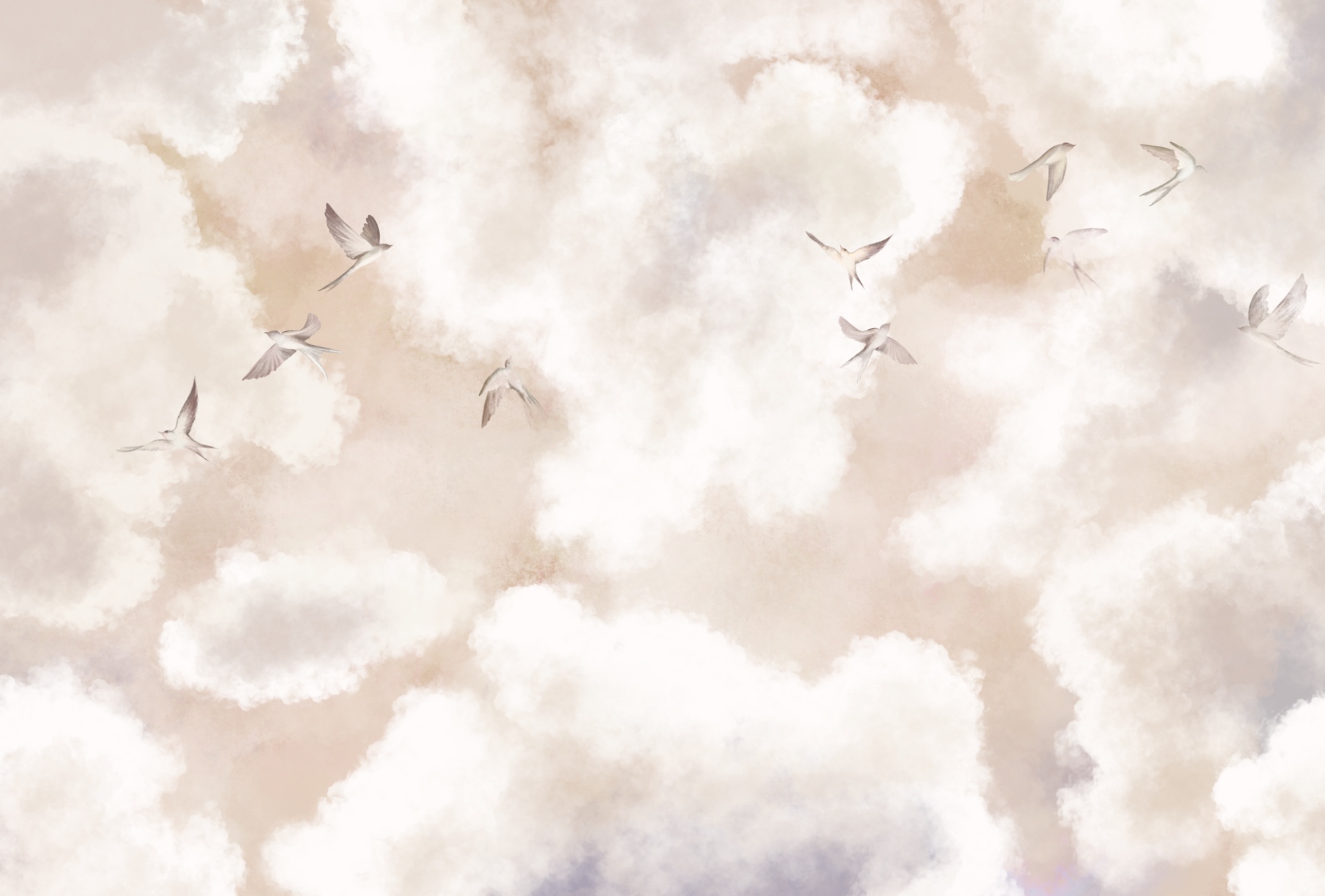 Group of birds flying in the sky