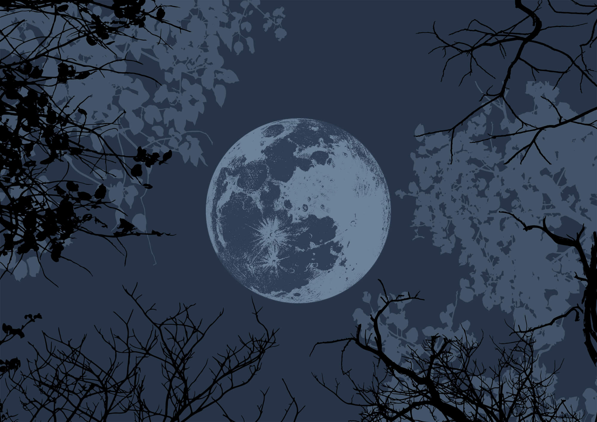 Moon in the sky Moon in the sky