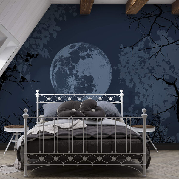 Wall murals Wall murals Moon in the sky (SKU: t00316v1)