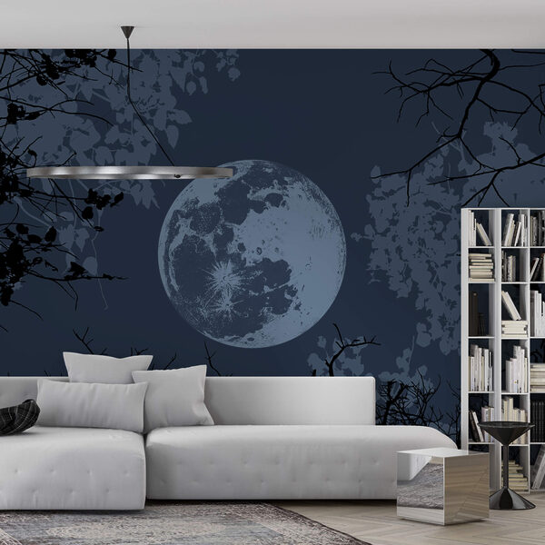 Moon in the sky Moon in the sky