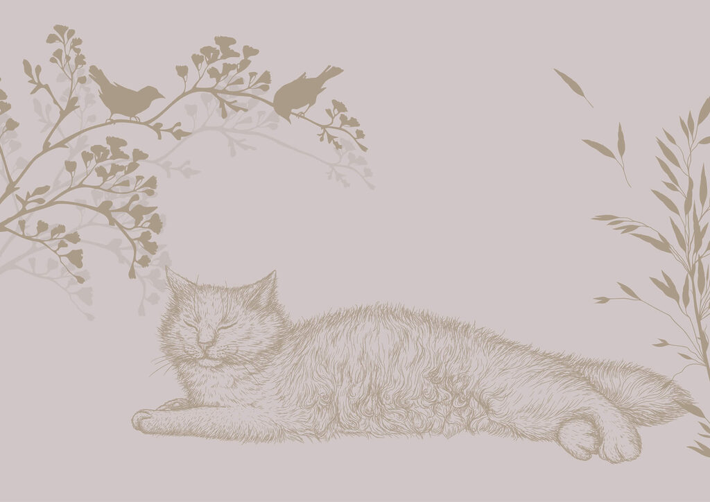 Cat lying on a tree branch