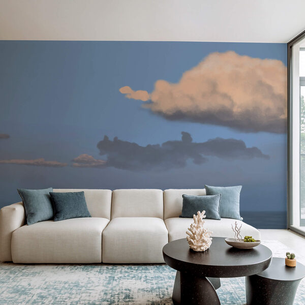 Cloud in the sky Cloud in the sky