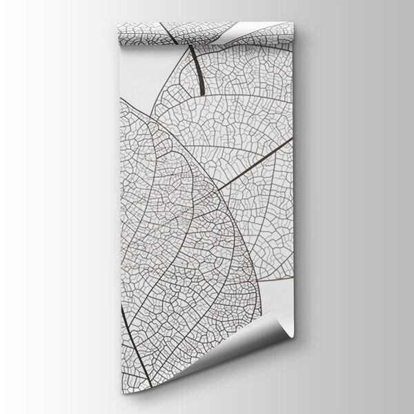 Delicate leaf patterns in white space