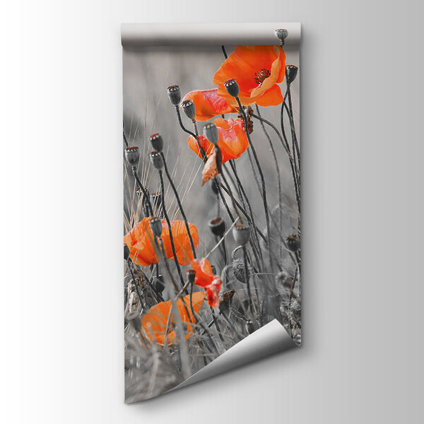 Orange flowers in a field