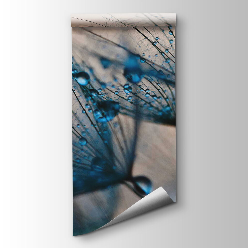 Delicate droplets on fragile petals