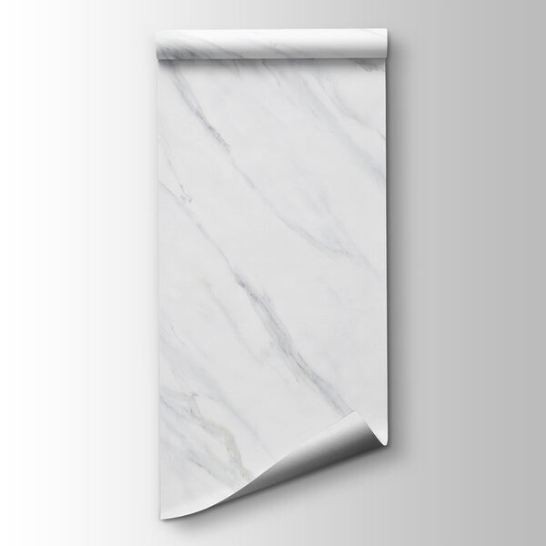 White marble surface with black veins
