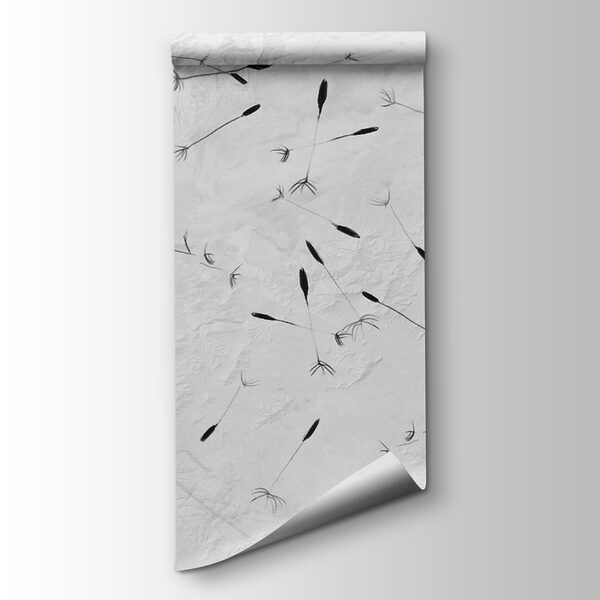 Black and white image of dandelions