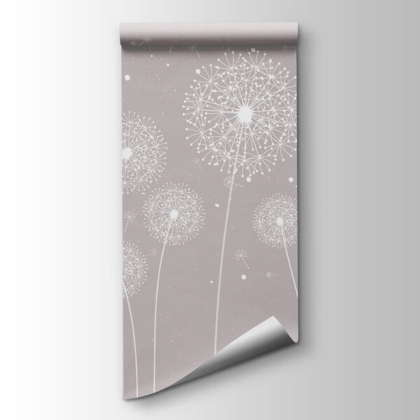 A white dandelions on a grey background A white dandelions on a grey background