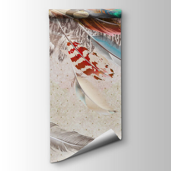 Group of colorful feathers Group of colorful feathers