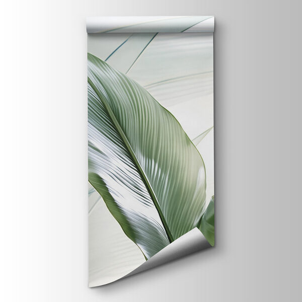 Natural green leaves in soft light Natural green leaves in soft light