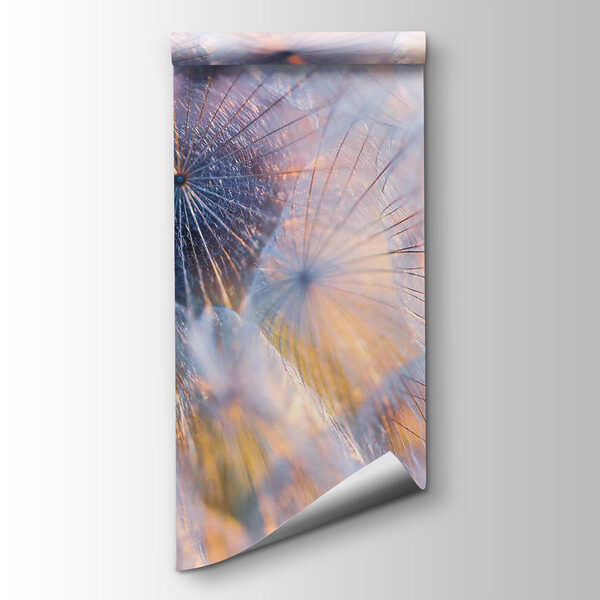 Delicate beauty in soft hues Delicate beauty in soft hues