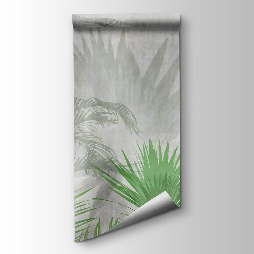 Shadow of a palm tree