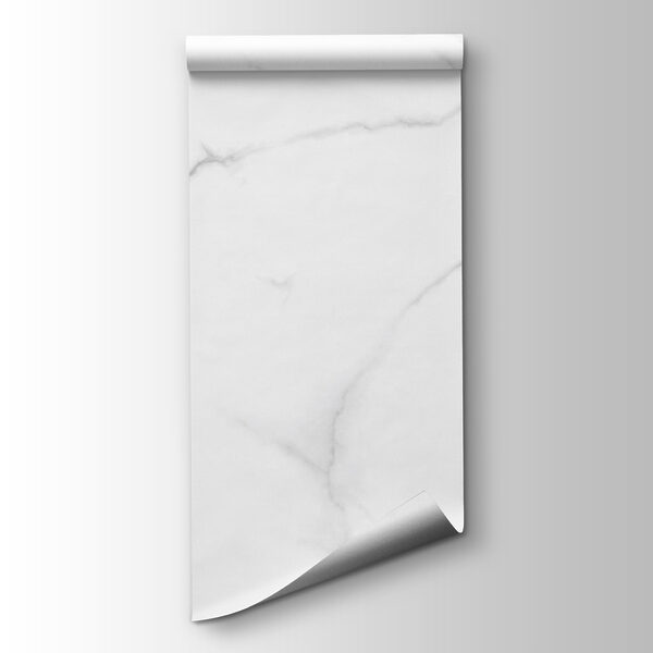 White marble surface with black veins