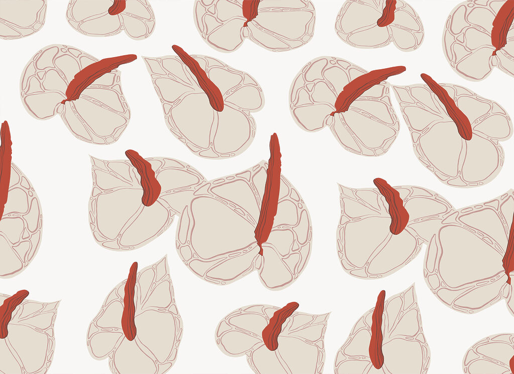 Pattern of flowers on a white background