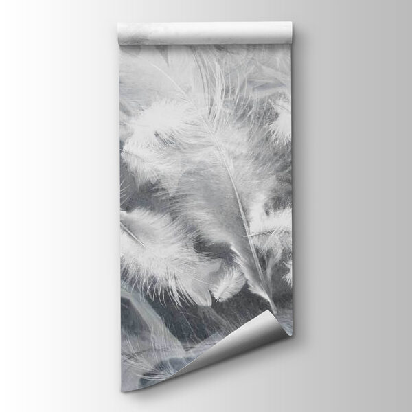 White feathers on a window