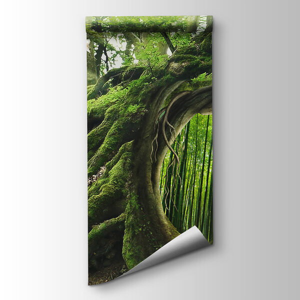 Tree with a hole in the middle of it Tree with a hole in the middle of it