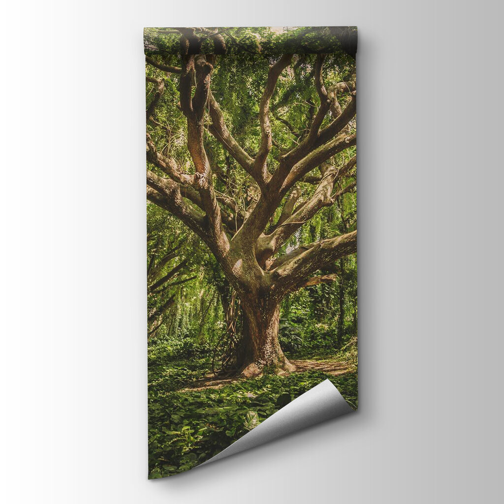 Large tree in a forest Large tree in a forest