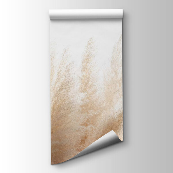 Group of white and brown grass Group of white and brown grass