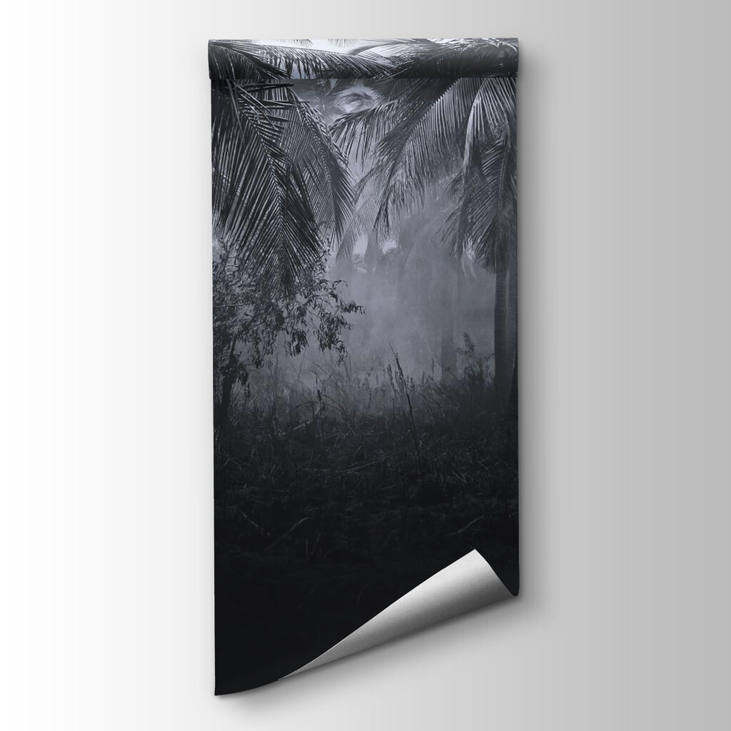 Foggy forest with palm trees