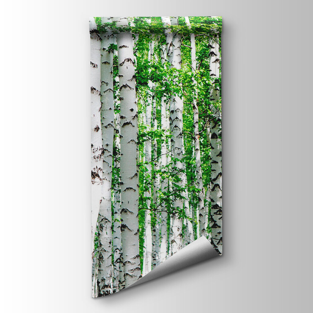 Group of trees with green leaves