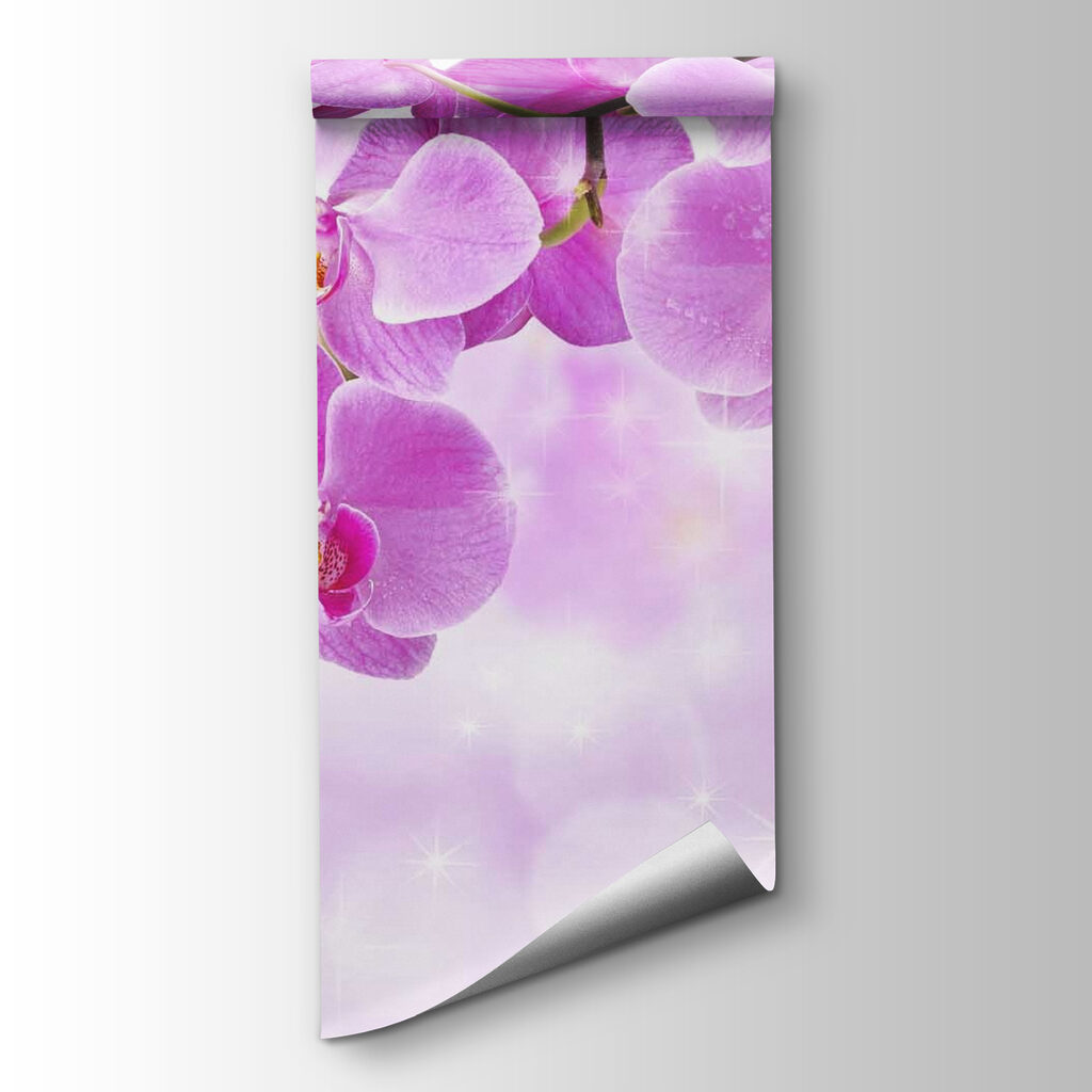 Delicate orchids in soft hues