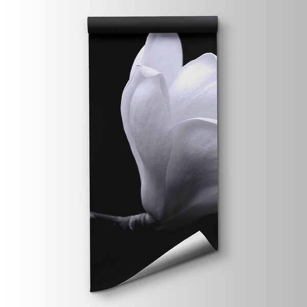 White flower on a branch