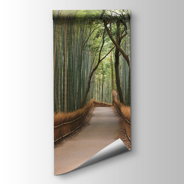 Path through a bamboo forest Path through a bamboo forest