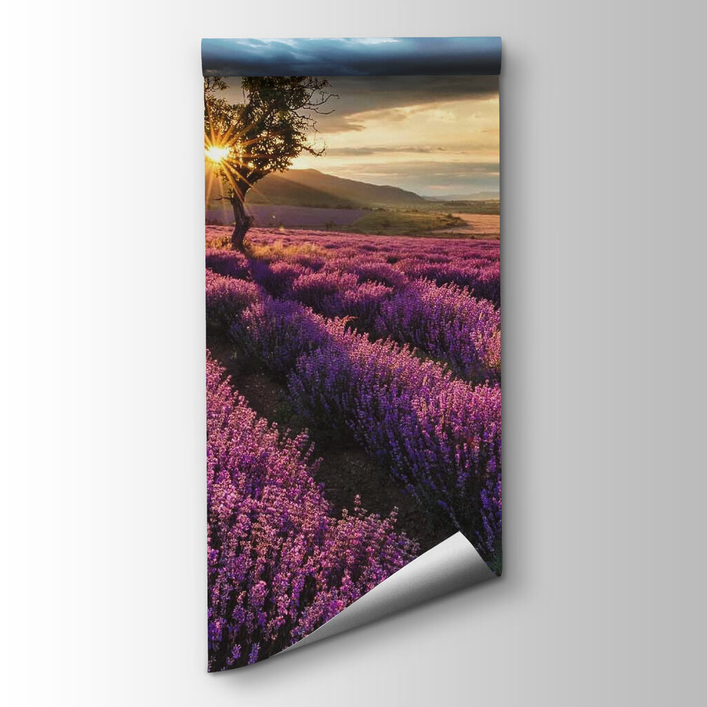 Tree in a field of lavender