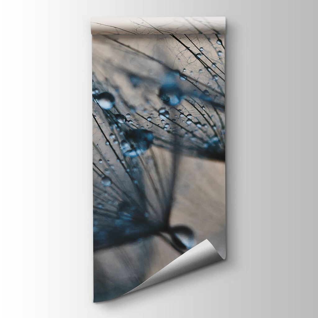 Delicate droplets on dandelion seeds Delicate droplets on dandelion seeds