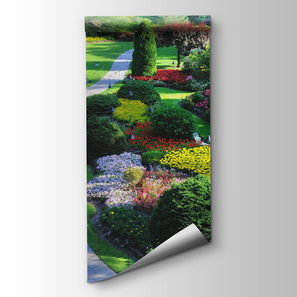 Garden with many flowers and trees Garden with many flowers and trees