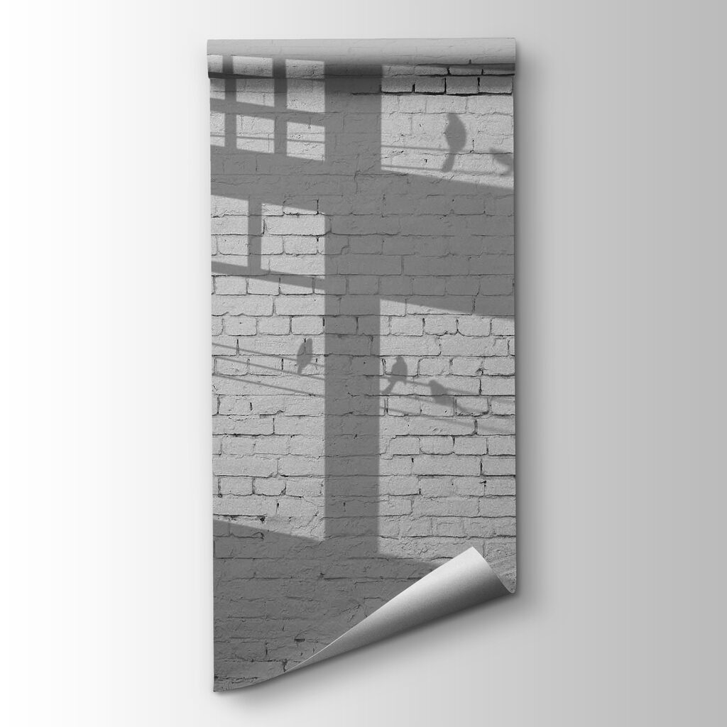Wall with windows and birds shadow