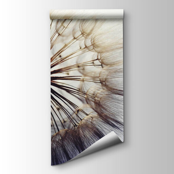 Delicate seeds ready to disperse