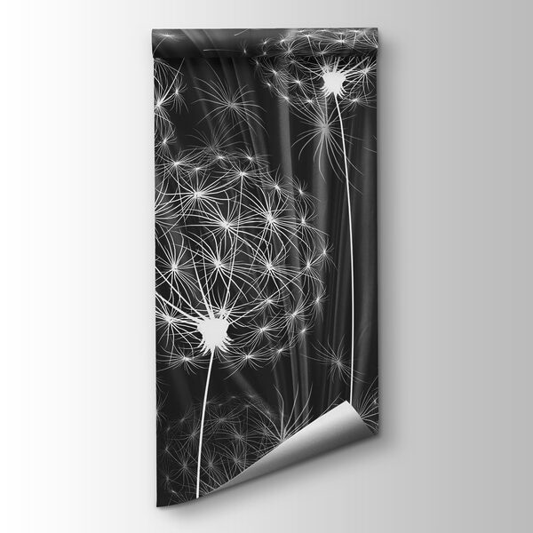 Delicate seeds ready to disperse Delicate seeds ready to disperse