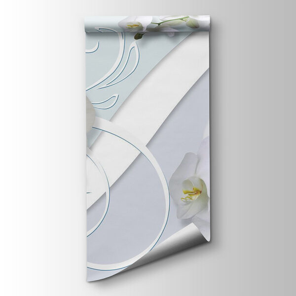 Beautiful orchids on a soft background Beautiful orchids on a soft background